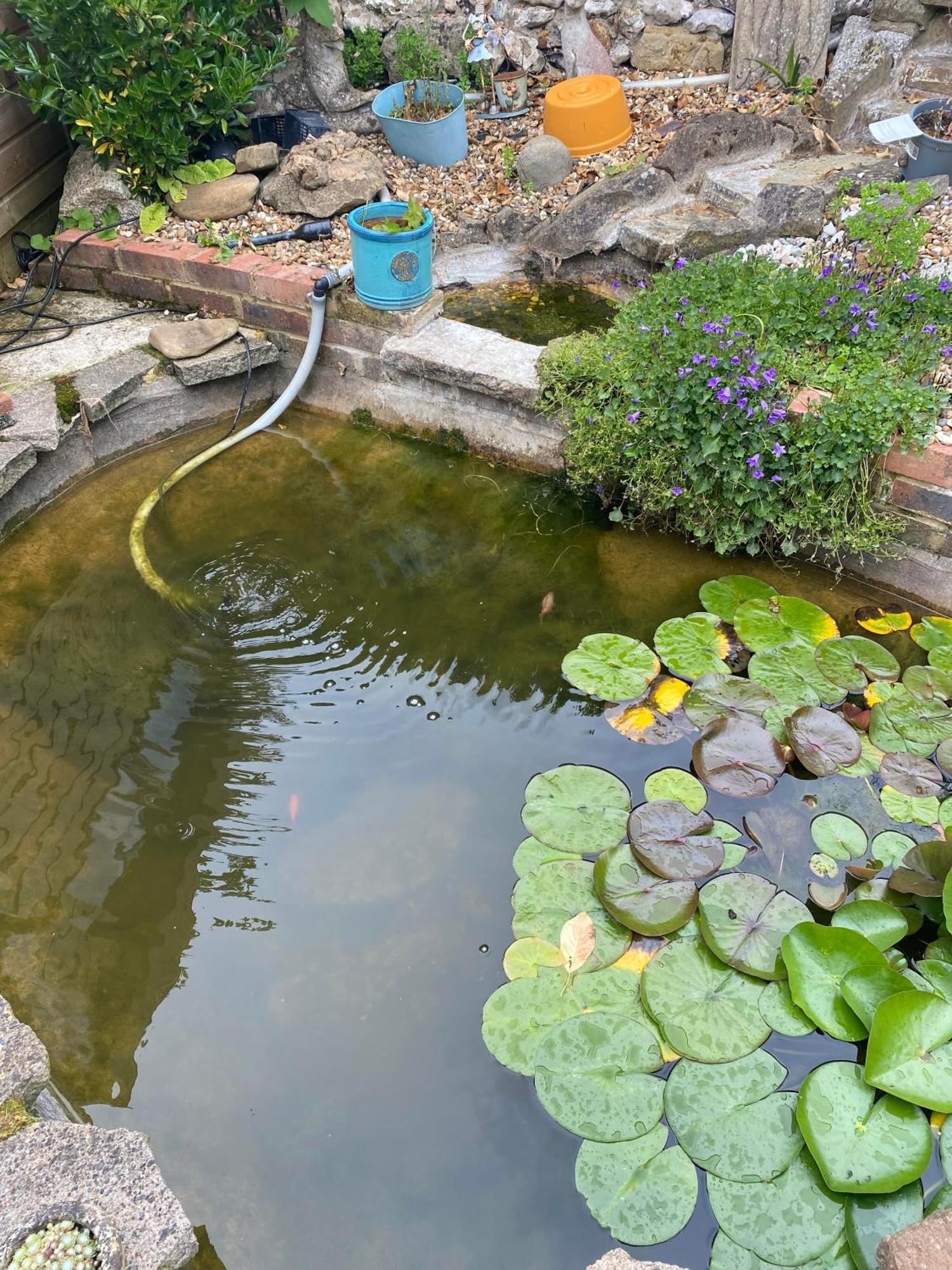 Pond Cottage Purley Luaran gambar