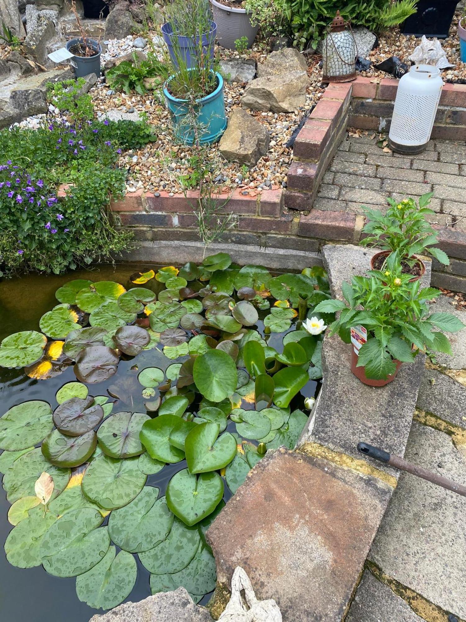 Pond Cottage Purley Luaran gambar